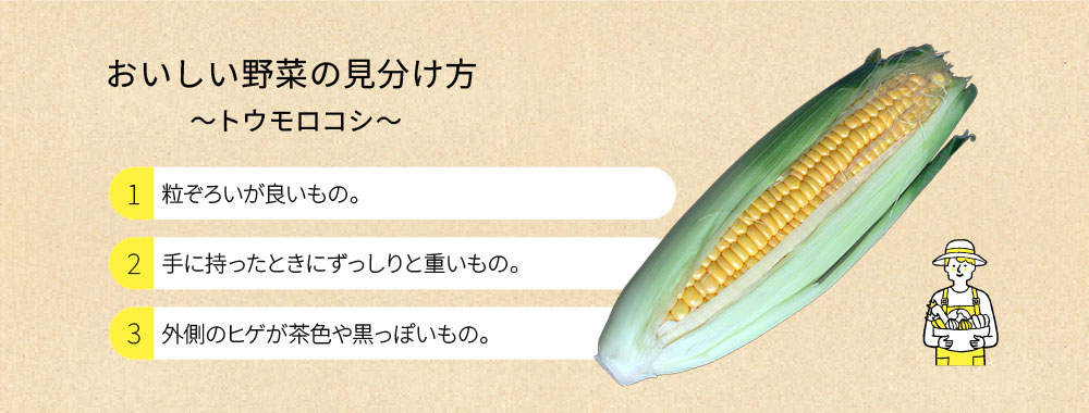 おいしい野菜の見分け方 ～トウモロコシ～
