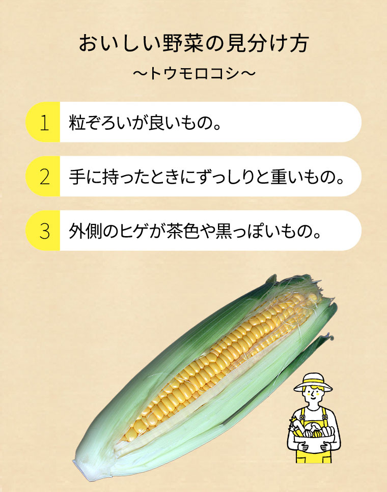 おいしい野菜の見分け方 ～トウモロコシ～