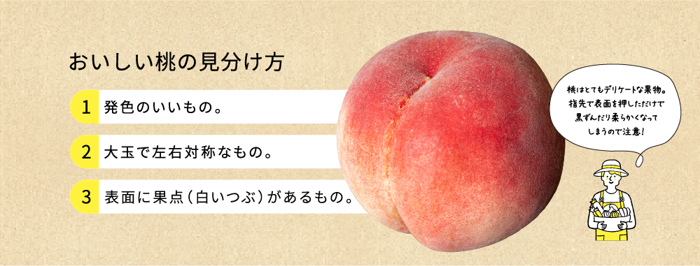 おいしい桃の選び方