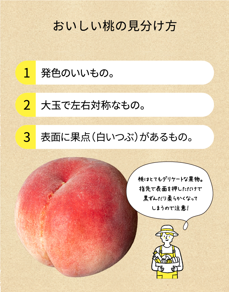 おいしい桃の選び方