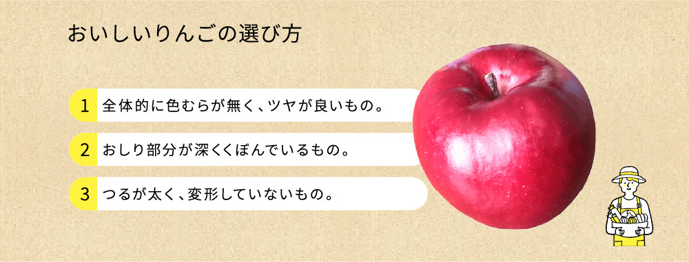 おいしいりんごの選び方