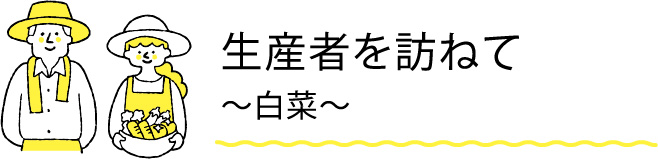 生産者を訪ねて 〜白菜〜