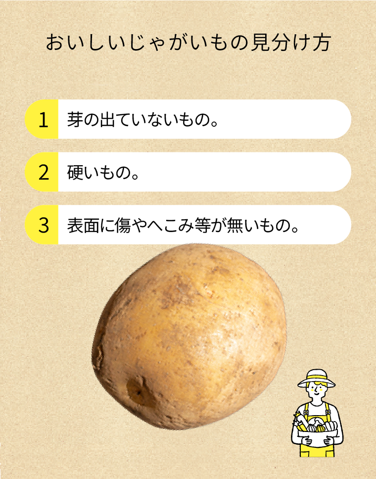 じゃがいもの見分け方