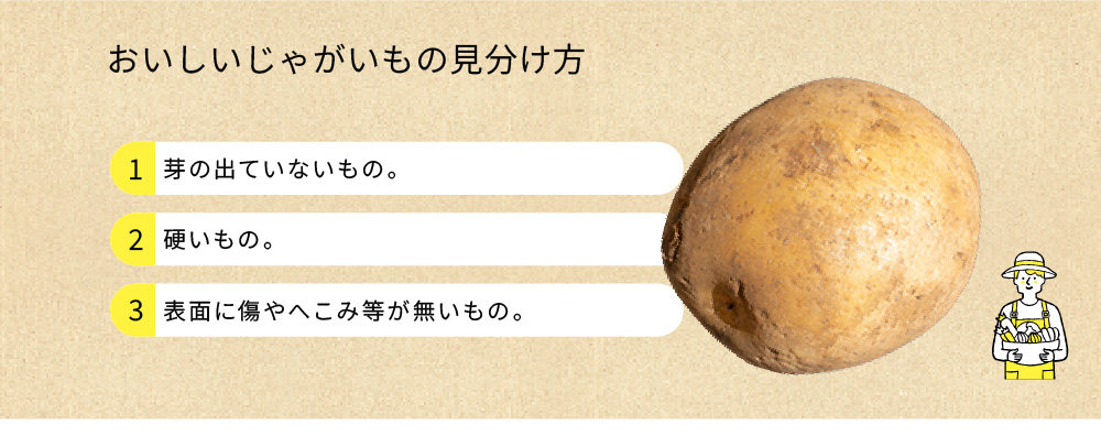 じゃがいもの見分け方