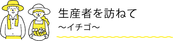 生産者を訪ねて 〜イチゴ〜