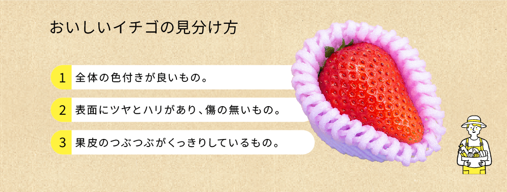 イチゴの見分け方