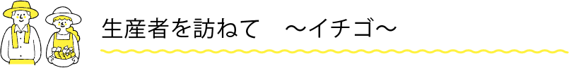 生産者を訪ねて 〜イチゴ〜