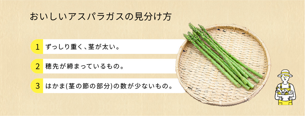 アスパラガスの見分け方