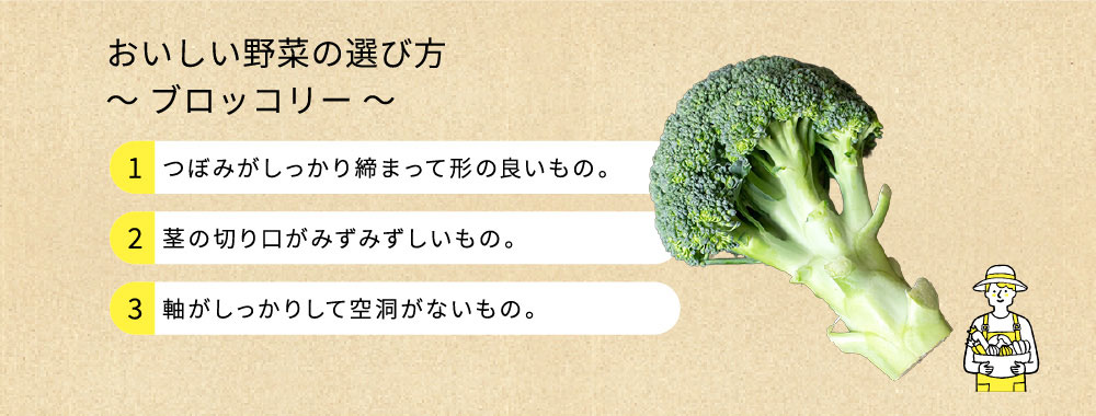 おいしい野菜の選び方～ブロッコリー～