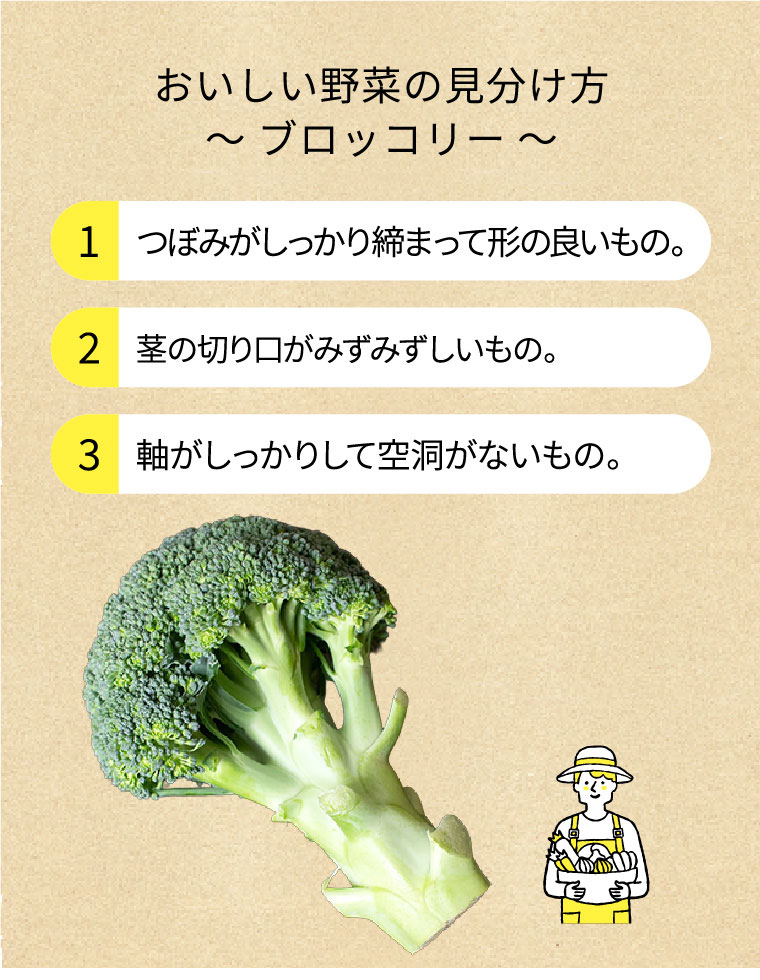 おいしい野菜の選び方～ブロッコリー～