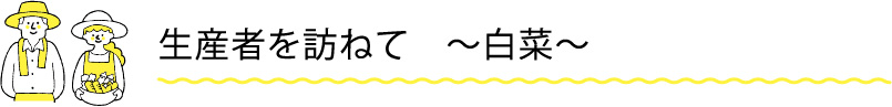 生産者を訪ねて　〜白菜〜