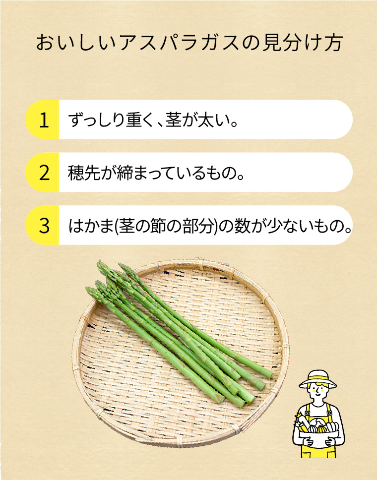アスパラガスの見分け方